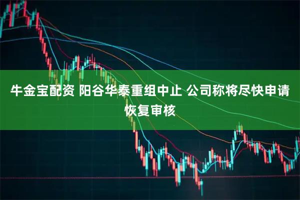牛金宝配资 阳谷华泰重组中止 公司称将尽快申请恢复审核