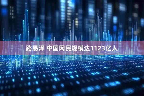 路易泽 中国网民规模达1123亿人