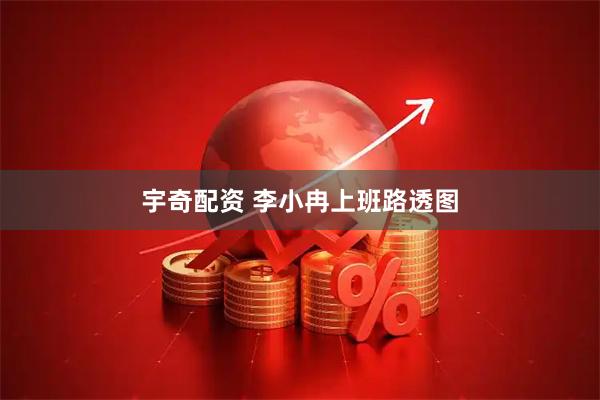 宇奇配资 李小冉上班路透图